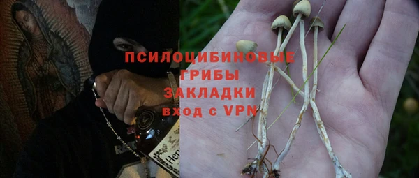 гидра Абинск
