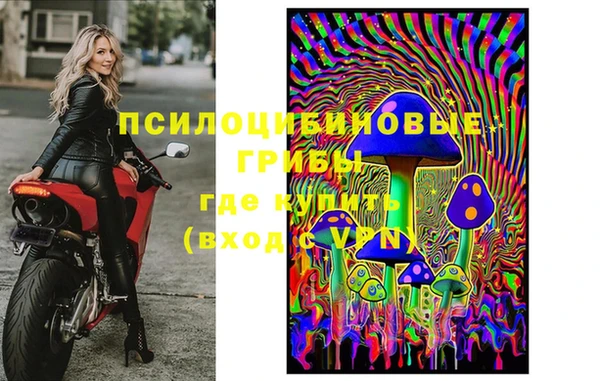 гидра Абинск