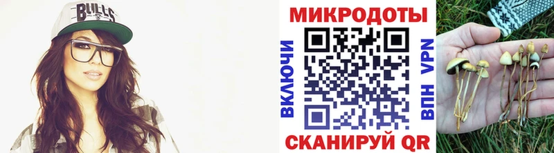 Псилоцибиновые грибы Psilocybe hydra как зайти Темрюк